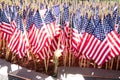 Flags on July Fourth at the California State Capitol Museum