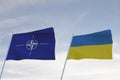 Flags of NATO and UKRANIE waving with cloudy blue sky background,3D rendering WAR