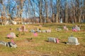 Flags near the headstones of United States war veterans Royalty Free Stock Photo