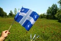 Quebec Culture Flags. National Day Celebration Patriot Saint Jean Baptist. Cultural Holiday, June 24th, Province in Canada. Royalty Free Stock Photo