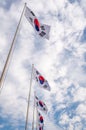 Flags of South Korea against the cloudy sky