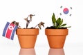 Flags of south korea and north korea in a flowerpot with drought