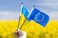 Flags with symbols of the European Union and Ukraine held in a girl`s hand, Concept, Acceptance of the Ukrainian candidacy to