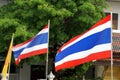 Flags of Thailand Royalty Free Stock Photo