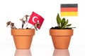 Flags of turkey and germany in a flowerpot with drought flower