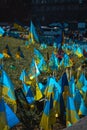 flags of Ukraine in memory of those who died in the war