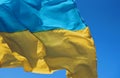 Flags Ukraine