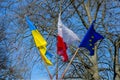 Flags of Ukraine, Poland, the European Union against the blue sky and tree branches Royalty Free Stock Photo