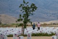 Flags of the USA in front of headstones at the Bakersfield National Cemetery on Memorial Day 2022 Royalty Free Stock Photo