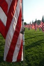 Flags of Valor St. Louis 2021 II