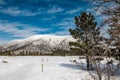 Flagstaff Arizona winter park mountain snow forest Royalty Free Stock Photo