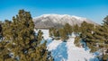 Flagstaff Arizona winter park mountain snow forest drone from air Royalty Free Stock Photo