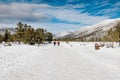 Flagstaff Arizona winter park mountain snow forest Royalty Free Stock Photo