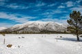 Flagstaff Arizona winter park mountain snow forest Royalty Free Stock Photo