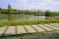 Flagstone path in flowering lake-shore of sunny spring