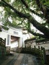 Flagstone road leading to ancient temple under big tree