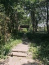 Flagstone road in the park