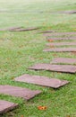 Flagstone Walkway On Green Grass.