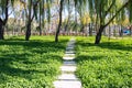 A flagstone walkway Royalty Free Stock Photo