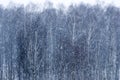 Flakes of wet snow flying against bare trees background