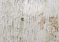 Flaking White Paint on Faded Wood Background