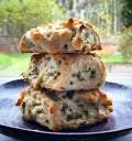 Flaky scallion sour cream biscuits