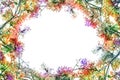 Flam-boyant flower as frame border and copy space for text back Royalty Free Stock Photo