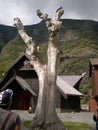 20/8/2013. old Aegir microbrewery hotel in flam Norway and Aegir carving on a tree trunk