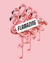 Flamazing. Vector colorful poster with hand drawn illustration of flamingo isolated. Royalty Free Stock Photo