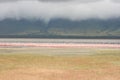 Flamboyance of Lesser Flamingos Phoeniconaias minor against the backdrop of Lake Magadi inside Ngorongoro Crater, Tanzania Royalty Free Stock Photo