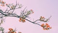 Flamboyant flowers blooming in park.