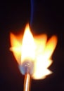 Flame Royalty Free Stock Photo