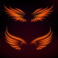 Bird fire wings vector fantasy feather burning fly mystic glow fiery burn hot art wings illustration on black.