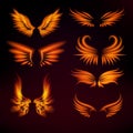 Bird fire wings vector fantasy feather burning fly mystic glow fiery burn hot art wings illustration on black. Royalty Free Stock Photo