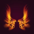 Bird fire wings vector fantasy feather burning fly mystic glow fiery burn hot art wings illustration on black. Royalty Free Stock Photo