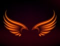 Bird fire wings vector fantasy feather burning fly mystic glow fiery burn hot art wings illustration on black. Royalty Free Stock Photo