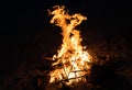 Flame of burning campfire, night view