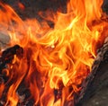 Flame of camp-fire Royalty Free Stock Photo