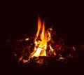 Flame of camp fire Royalty Free Stock Photo