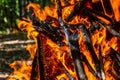 Flame of charcoal fire. Hearth for cooking and heating. Danger in forest Royalty Free Stock Photo