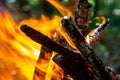 Flame of charcoal fire. Hearth for cooking and heating. Danger in forest Royalty Free Stock Photo