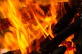 Flame of charcoal fire. Hearth for cooking and heating. Danger in forest Royalty Free Stock Photo