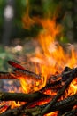 Flame of charcoal fire. Hearth for cooking and heating. Danger in forest Royalty Free Stock Photo