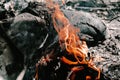Flame of charcoal fire. Hearth for cooking and heating Royalty Free Stock Photo