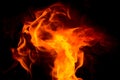 Flame dance in red and yellow color. black background. Royalty Free Stock Photo