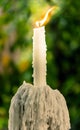 Dripping candle Royalty Free Stock Photo