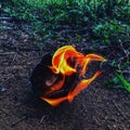 A flame with ember in the ground