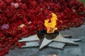 May 9, Victory Day, holiday background. Carnations, eternal flame, a monument - a symbol of May 9, the memory of the war