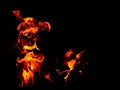Flame of fire against black background, Flames resemble Chinese dragon Royalty Free Stock Photo