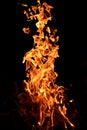 Flame of fire Royalty Free Stock Photo